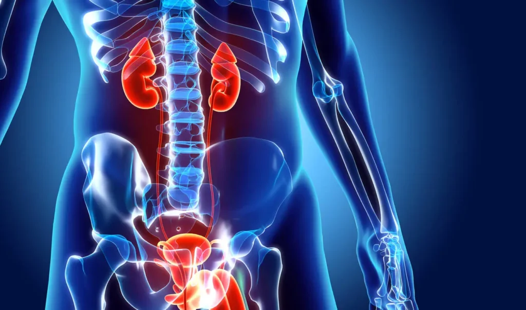 urologicalconditions.jpg